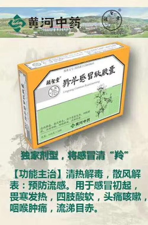 羚羊感冒软胶囊